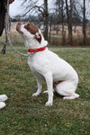 Sozo-ADOPTED 09.06.13