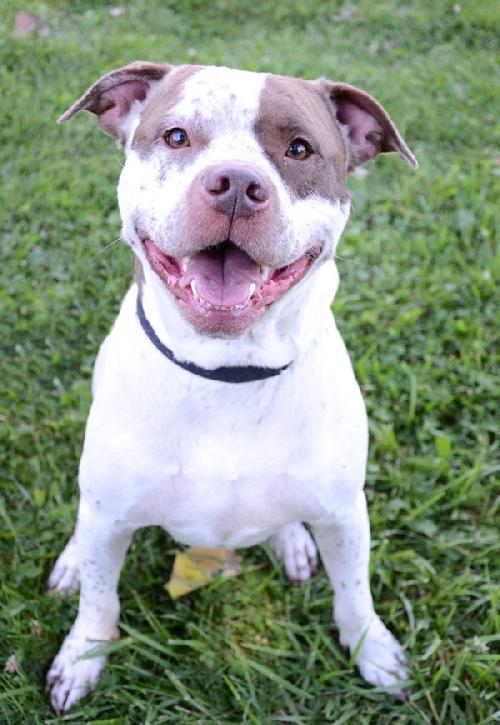 Sozo-ADOPTED 09.06.13