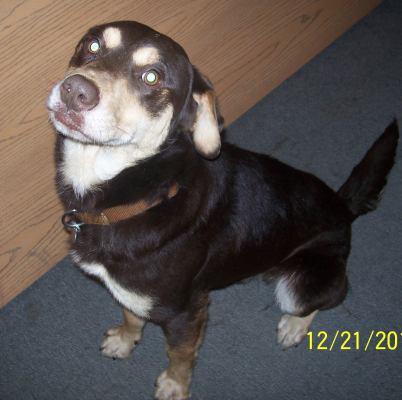 Wilbur 