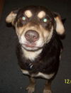 Wilbur 