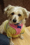 Annie 