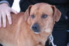 Armani-ADOPTED-2.10.12