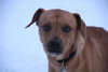 Armani-ADOPTED-2.10.12