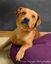 Armani-ADOPTED-2.10.12
