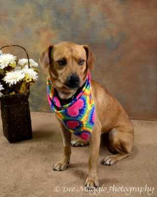 Armani-ADOPTED-2.10.12