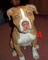 Kodak - ADOPTED 02.23.12