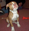 Kodak - ADOPTED 02.23.12