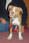 Kodak - ADOPTED 02.23.12
