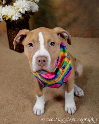 Kodak - ADOPTED 02.23.12