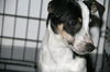 Ce Litter-Carson-ADOPTED-2.22.12