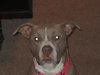 Princess-ADOPTED 08.18.12