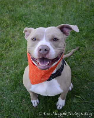 Princess-ADOPTED 08.18.12
