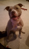 Princess-ADOPTED 08.18.12