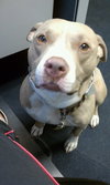 Princess-ADOPTED 08.18.12