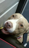 Princess-ADOPTED 08.18.12