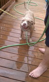 Princess-ADOPTED 08.18.12