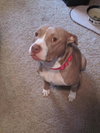 Princess-ADOPTED 08.18.12