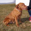 Sarge - ADOPTED 03.29.12