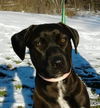 Bekka-ADOPTED-4.7.12