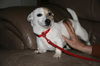 Marco - ADOPTED 03.10.12