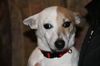 Marco - ADOPTED 03.10.12