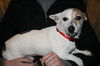 Marco - ADOPTED 03.10.12