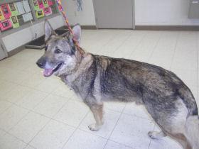 Booker-ADOPTED-5.19.12