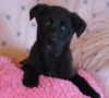 Le Litter-Tailz - ADOPTED 06.09.12