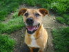 Spink ADOPTED 09.25.12
