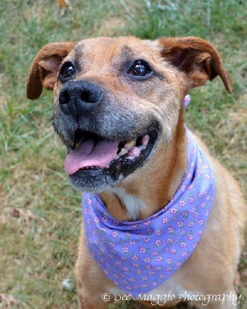 Spink ADOPTED 09.25.12