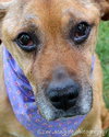 Spink ADOPTED 09.25.12