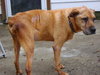 Spink ADOPTED 09.25.12