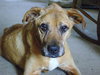 Spink ADOPTED 09.25.12