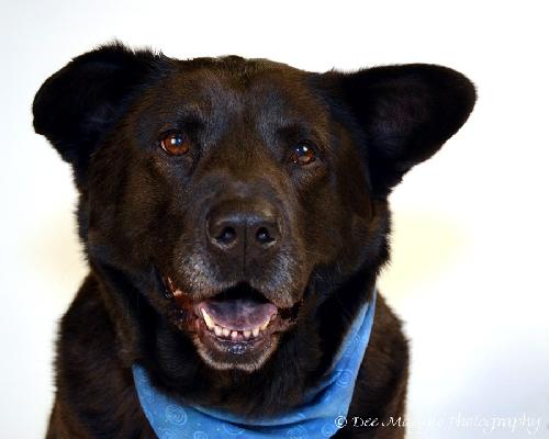 Miko-ADOPTED 03.23.13