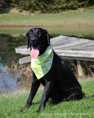 Crosby - ADOPTED 7.25.12