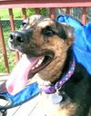 Angelique-ADOPTED-6.24.12