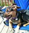 Angelique-ADOPTED-6.24.12