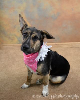 Angelique-ADOPTED-6.24.12