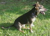 Angelique-ADOPTED-6.24.12