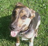 Angelique-ADOPTED-6.24.12