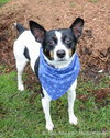 Rio-ADOPTED 12.26.12