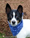 Rio-ADOPTED 12.26.12
