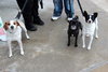 Rio-ADOPTED 12.26.12