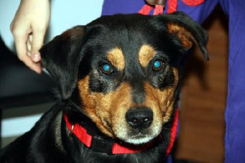 Montgomery-ADOPTED 06.12.12