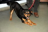 Montgomery-ADOPTED 06.12.12