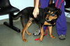 Montgomery-ADOPTED 06.12.12