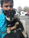 Arrosa - ADOPTED 10.30.17