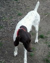 Shania - ADOPTED 08.10.12