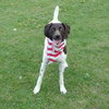 Shania - ADOPTED 08.10.12