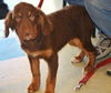 Ve Litter - Mimsy - ADOPTED 06.03.12